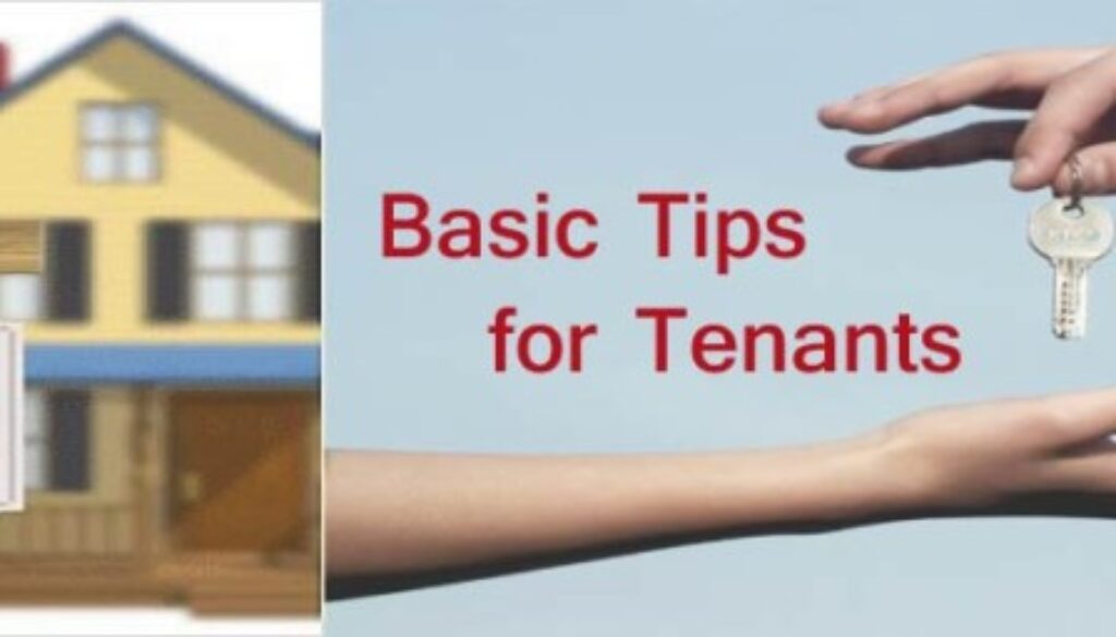 Basic tips tenant spain2
