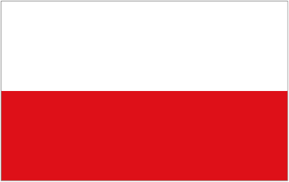 polish to spanish translation malaga