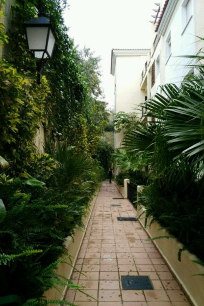 IMG-20170112-WA0088 IMG-20170112-WA0088