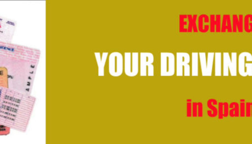 exchange driving licence